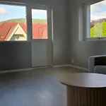 Modern House *